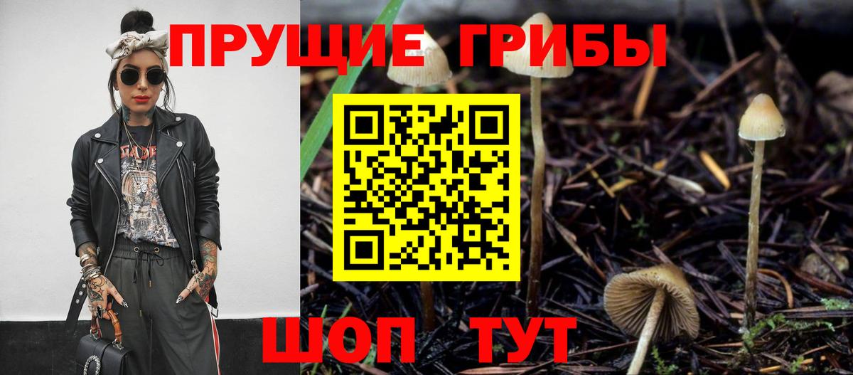 Псилоцибиновые грибы ЛСД Егорьевск