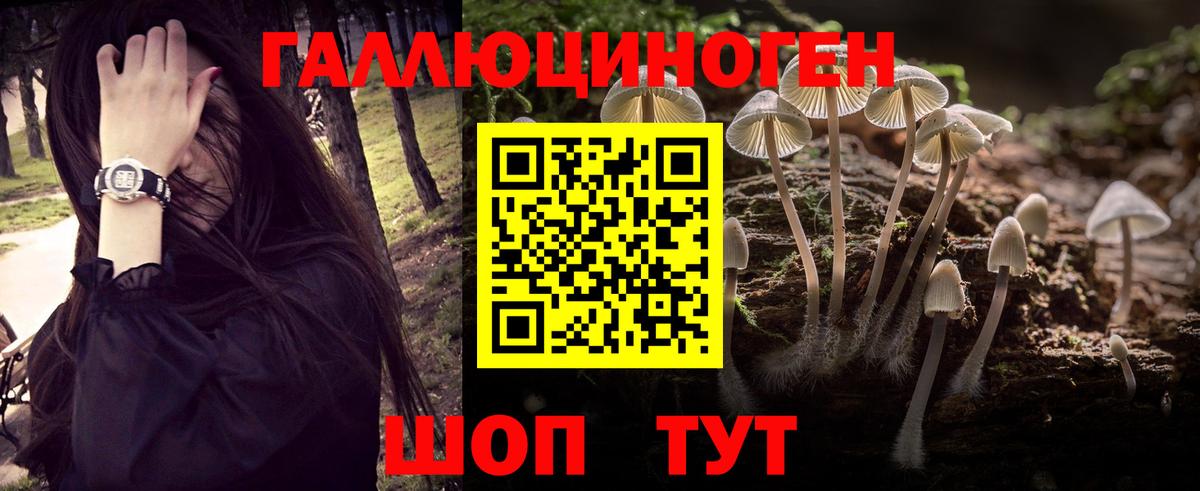 Псилоцибиновые грибы Psilocybine cubensis  Вход с VPN  Псилоцибиновые грибы мухоморы  Егорьевск 